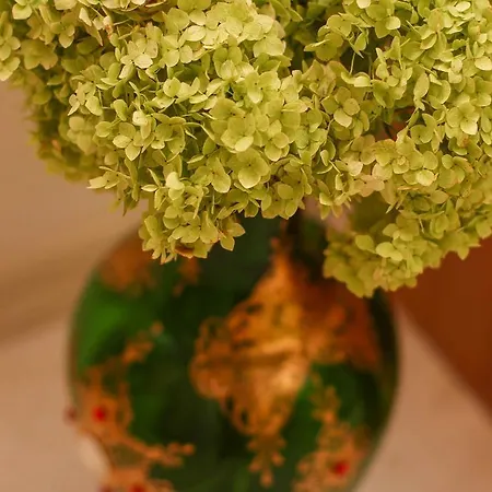 Jasmin 4* Σπλιτ