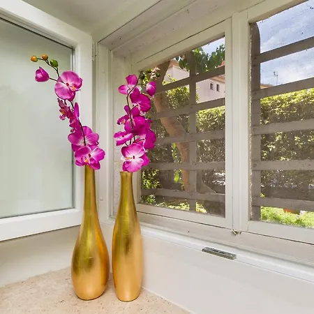 Jasmin Guest house 4*