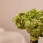 Jasmin 4*